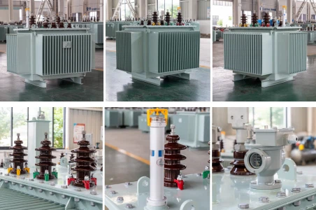 1000 KVA Oil Immersed Transformer 1000 KVA Oil Immersed Transformer