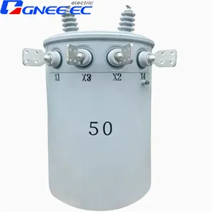 Electrical Pole Transformer
